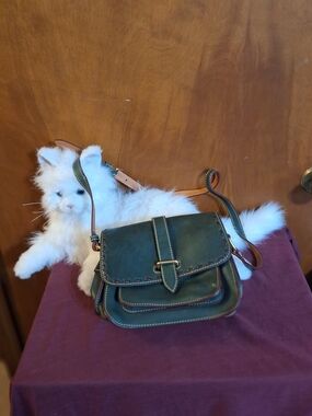 Dooney & Bourke Green Leather Crossbody Satchel with Tan Strap